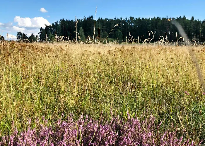 Pod Javorem * Nová Bystřice